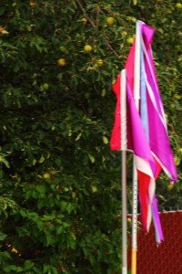 Apple Tree and Purple Flag