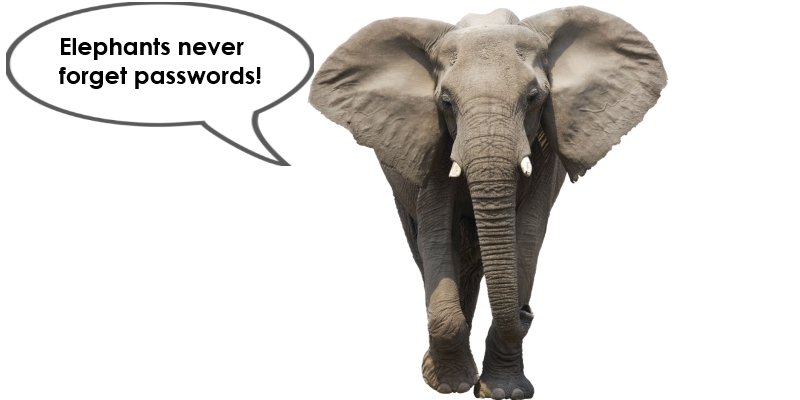 Elephants never forget passwords!
