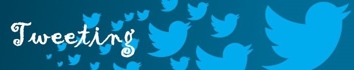 Twitter Tweeting Birds Banner