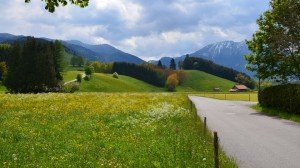 Country Road with Mountains Google+ Page Covers