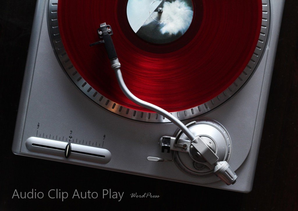 Audio Clip Auto Play WordPress by SkyPoint Studios Web Design Billings MT