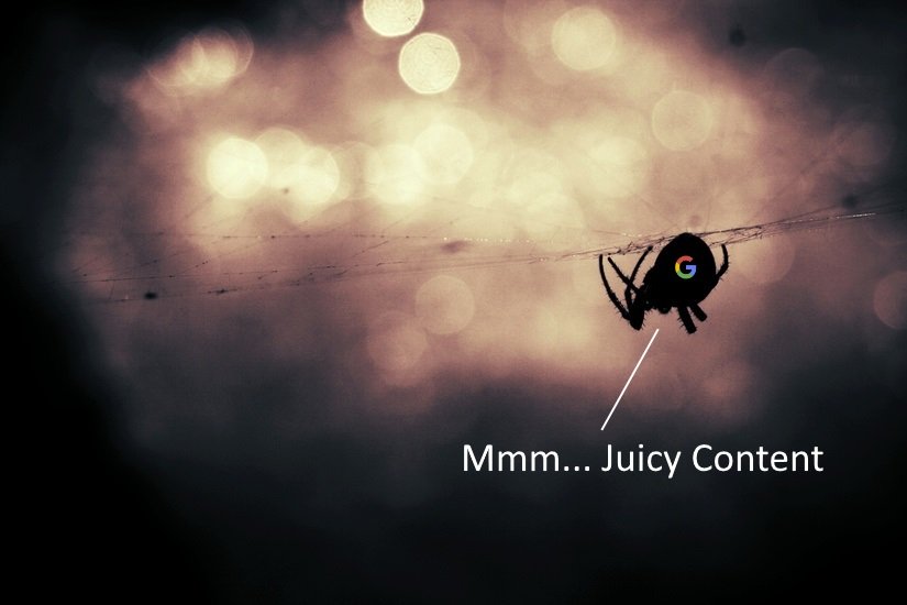 Mmm... Juicy Content Google Search Spider SEO